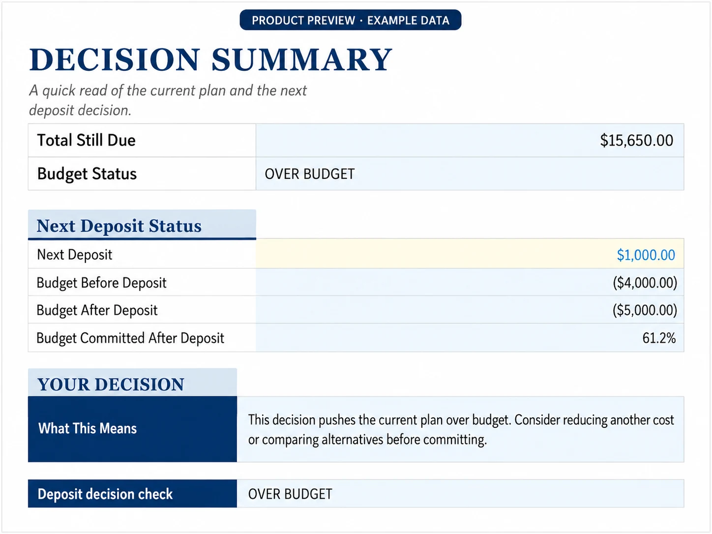 Premium Decision Summary product preview based on the downloadable workbook and shown with example data